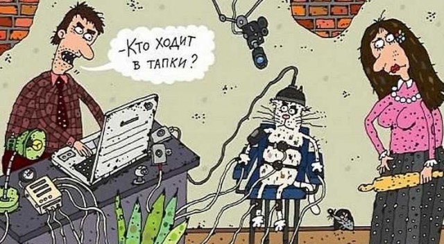 С котопятницей! Улыбнемся?