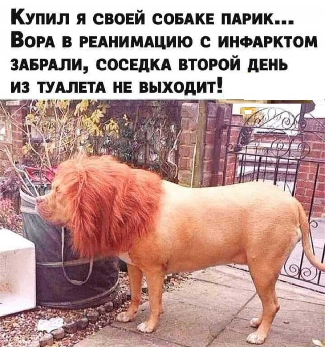 Картинки с надписями и всякие жизненные фразы 6.01.2021