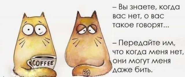 Муж надежд на красивую жизнь не оправдал