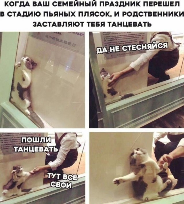 Совершенно упоротая тема о родственниках