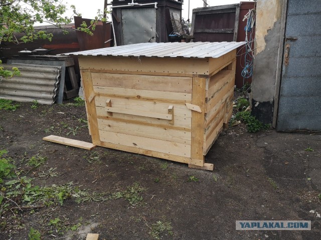 Жизнь домашнего приюта "Котоленд" 283