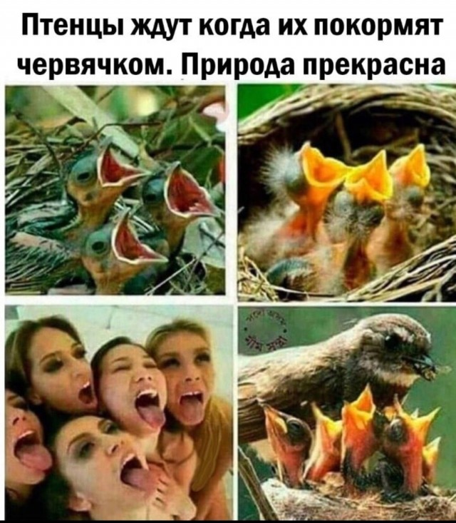 Картинки всякие и аморальные - 10