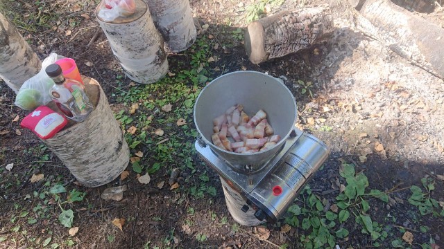 Закрытие сезона (рыбалка)