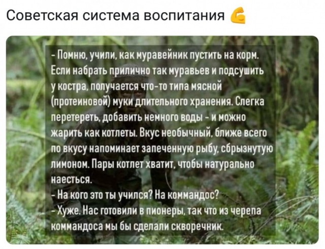 Советский снайпер заминировал позицию немецкого снайпера за броневым щитом, а когда тот вышел на «охоту», выстрелил в мину