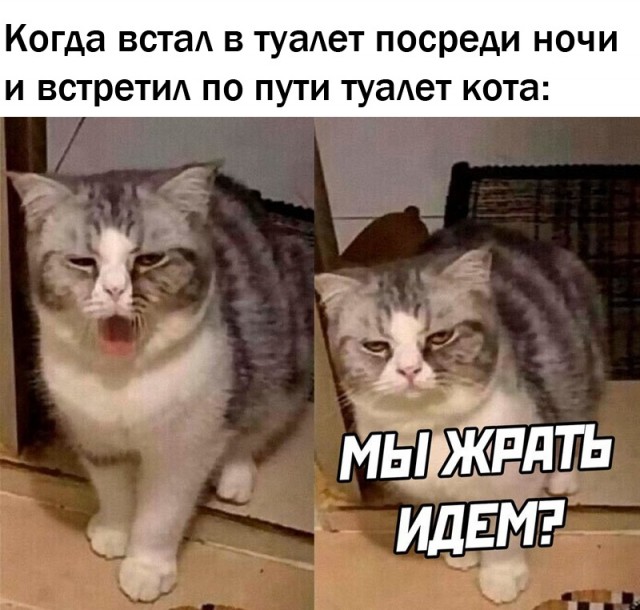 Картинки 20.05.22.
