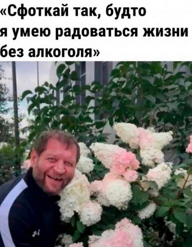 Картинки и мемы, всем хороших выходных