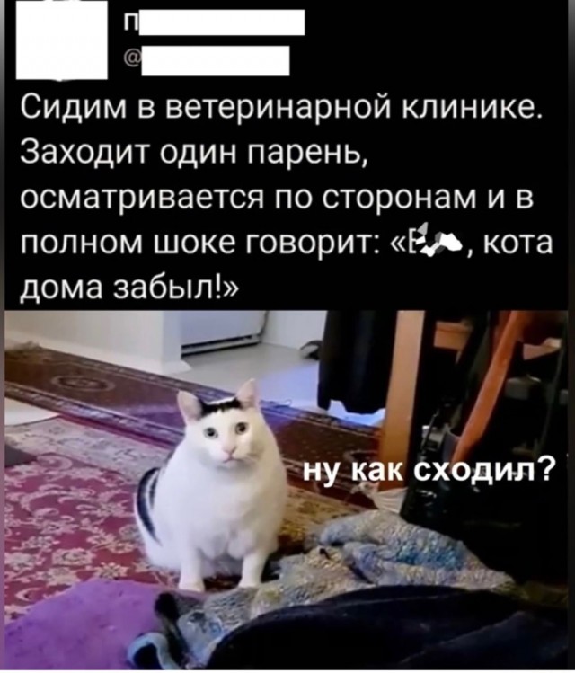 Немного картинок для настроения - 112