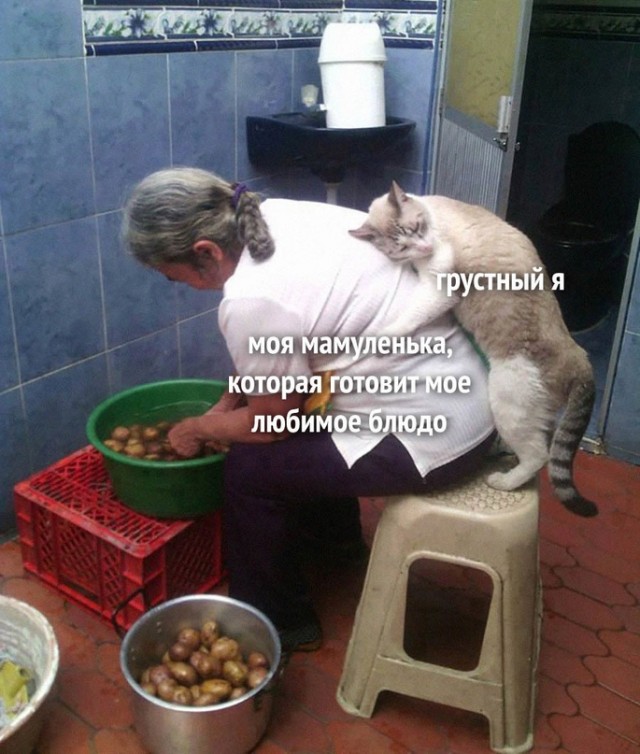 Весёлый полтишок 11.01.23