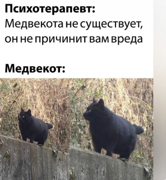 Картинки и мемы, всем хороших выходных