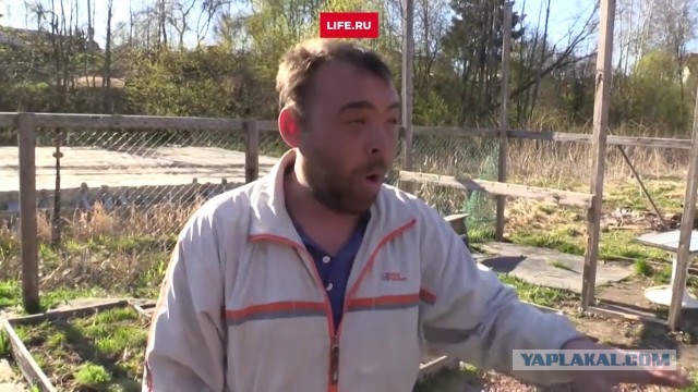 Инклюзивность+BLM