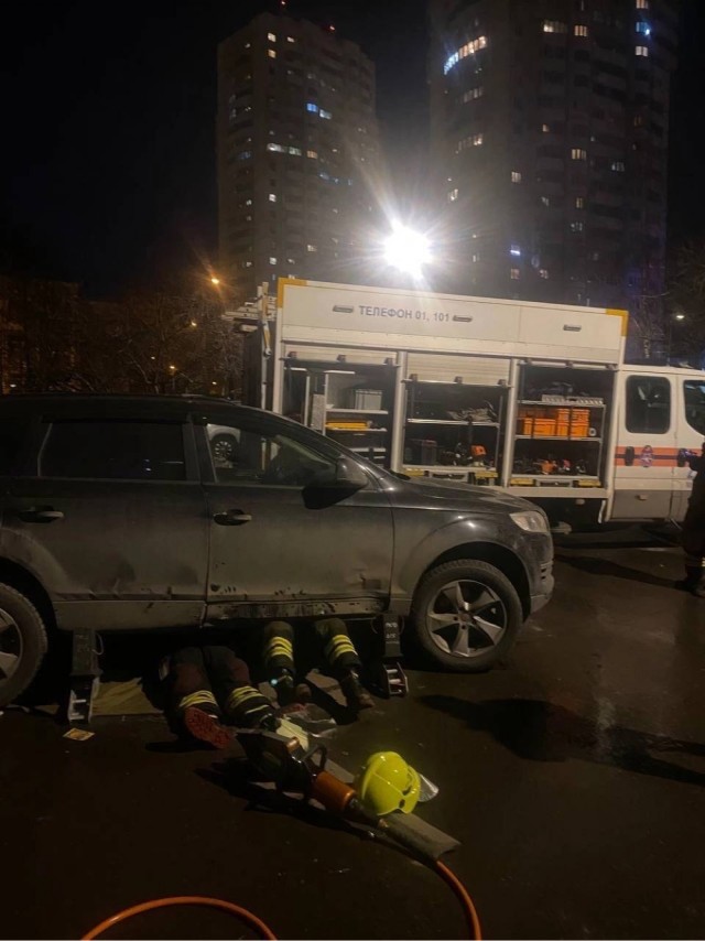 Кот-механик из Москвы решил перебрать двигатель машины, но не рассчитал сил и застрял