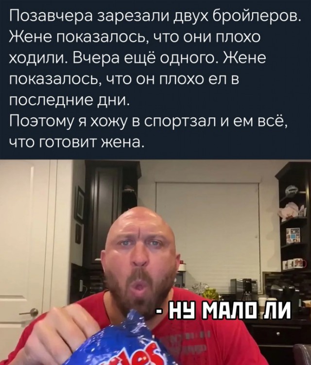 Весёлый полтишок 16.07.23