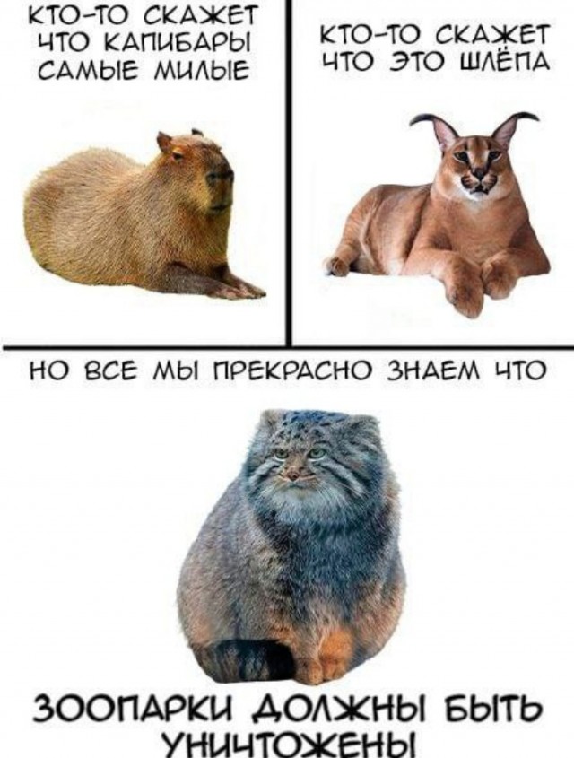 Всего понемногу. От 10.08.