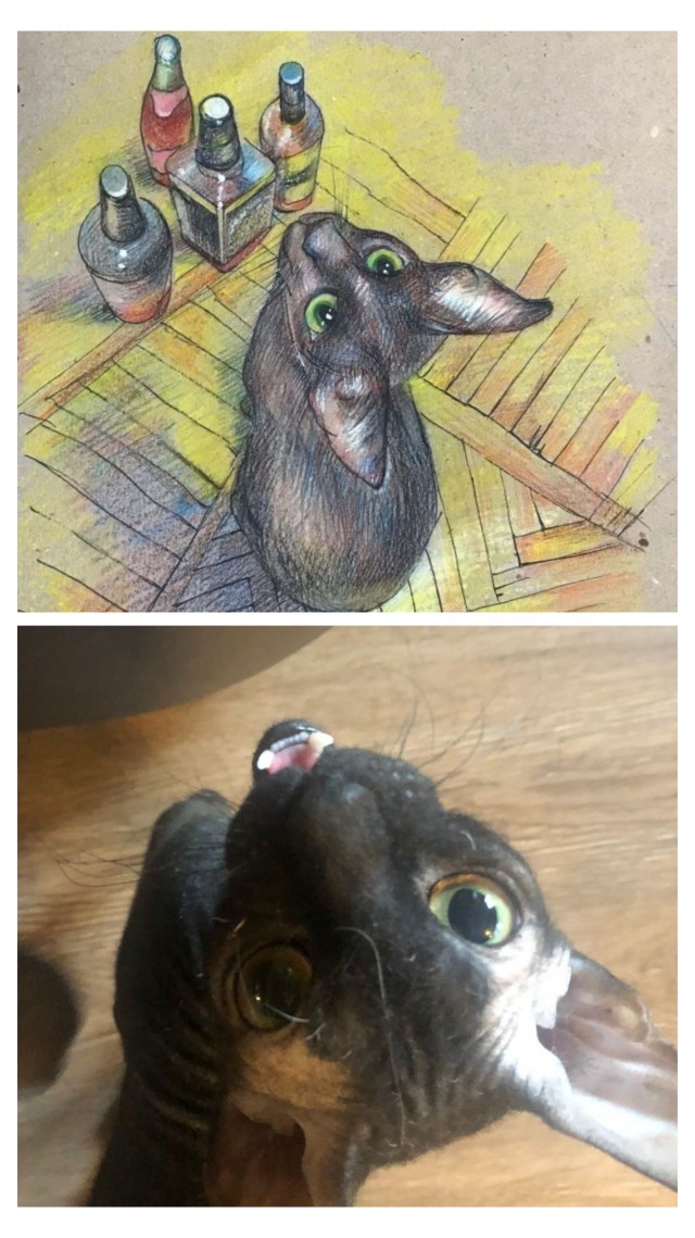 Кошка Фрося