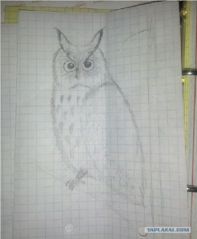 Как нарисовать сову...