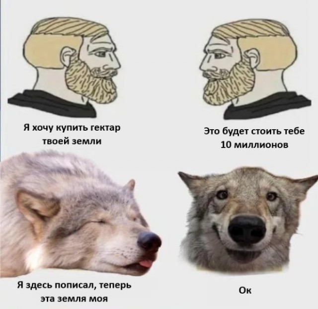 Веселые картинки в понедельник (02.06)