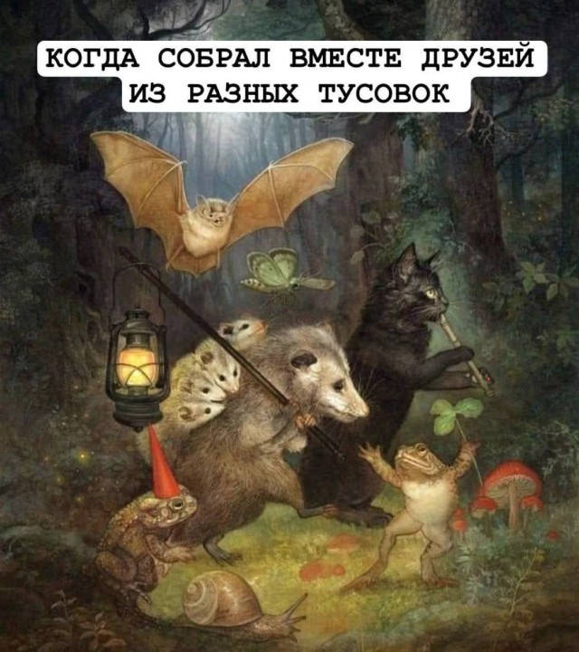 Картинки для деградации 66 (разной степени свежести)