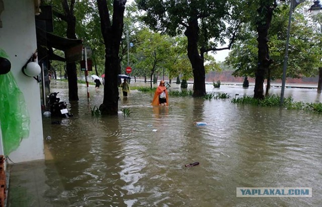 Apnews: во Вьетнаме из-за наводнения эвакуировали 40 тысяч туристов