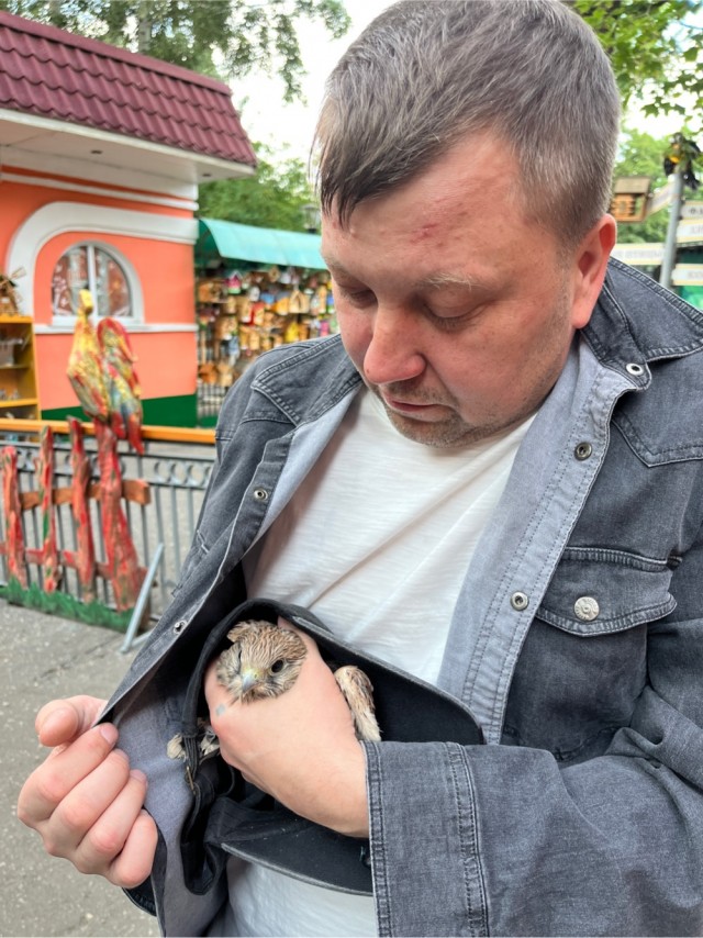 Познакомьтесь, это Софья