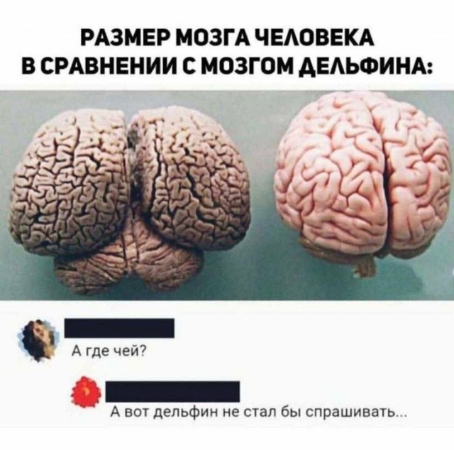 Картиночки, баянчики 29 июня
