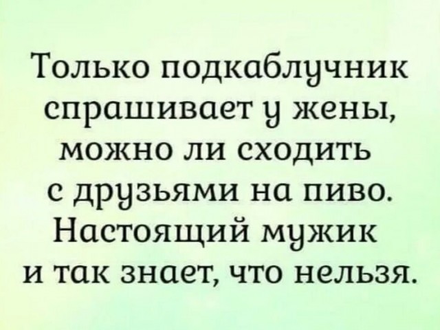 День подкаблучника отмечается сегодня