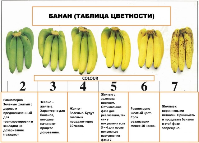 Зеленые бананы