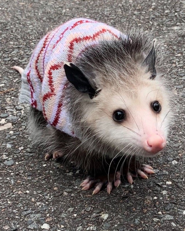 Скиньте рандомную хрень