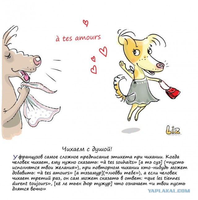 мои персонажи