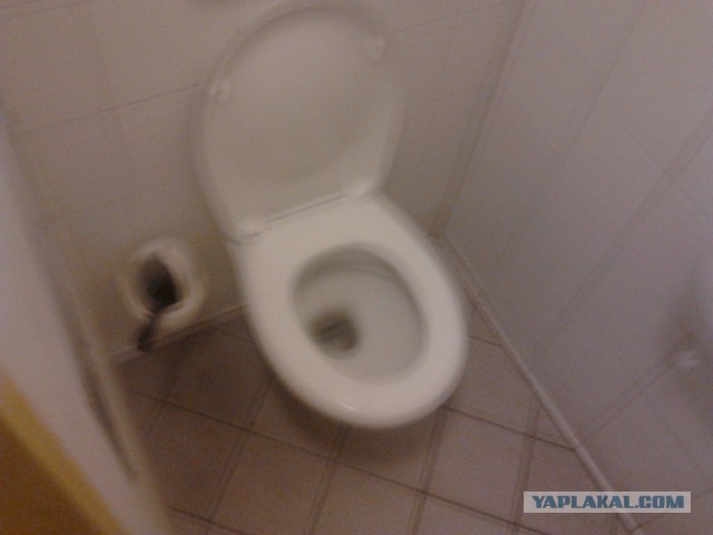 Где яблоки растут!