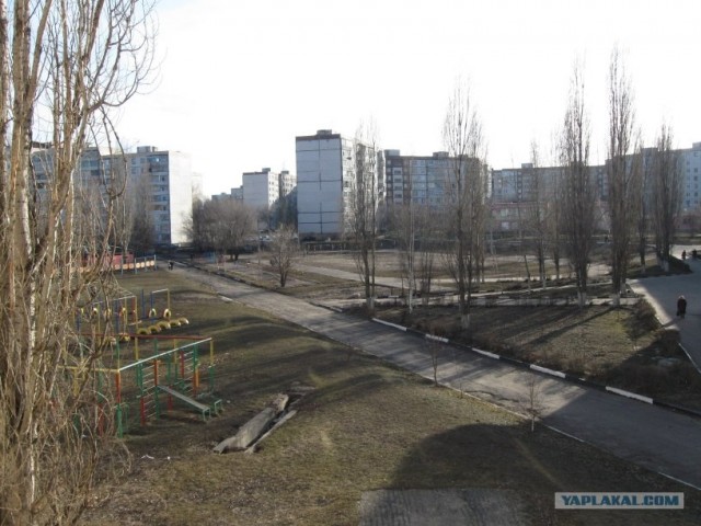 Вид из вашего окна