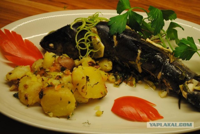 International одной книги., В память о Дженибеке.