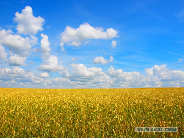 Рыбалка на Дону