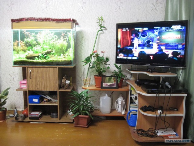 Рождение компьютерного стола