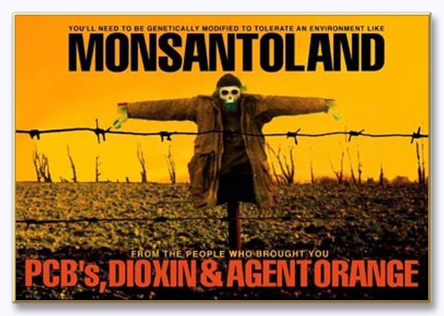 Monsanto собирается скупать украинские земли
