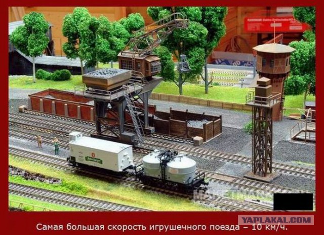 20 фактов обо всем