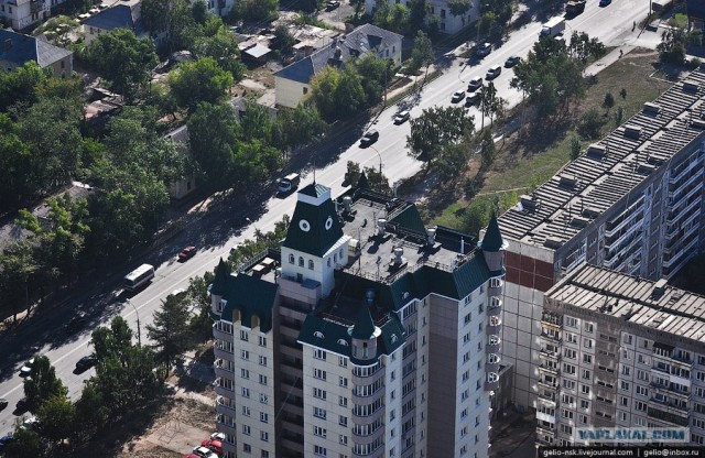 Когда деревья были большими