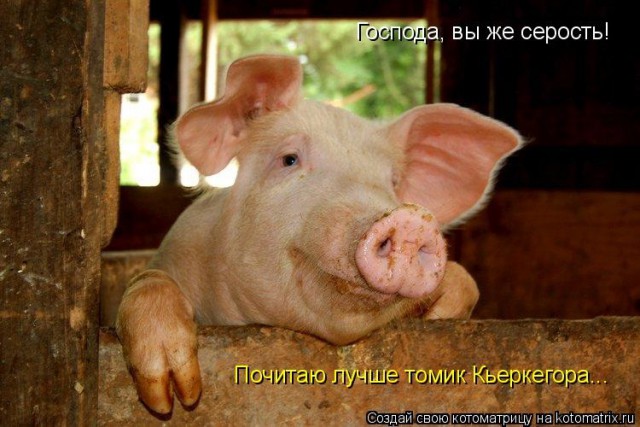 Эпизодический роман - издание на бумаге.