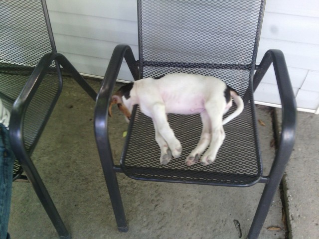 Где захотелось-там и уснулось