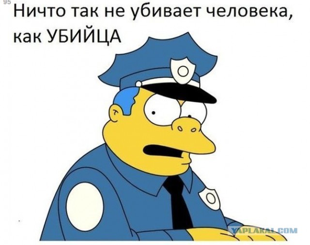 Подборка смешных и забавных фото
