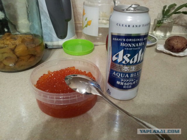 Картинки из вацапа
