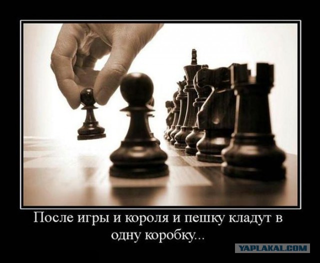 Демы без Темы