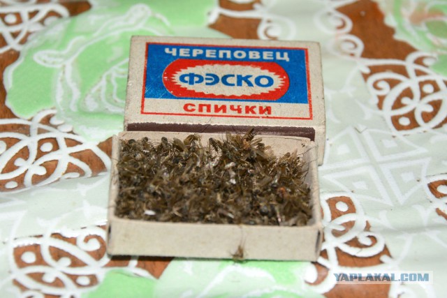 Байки нашего детства
