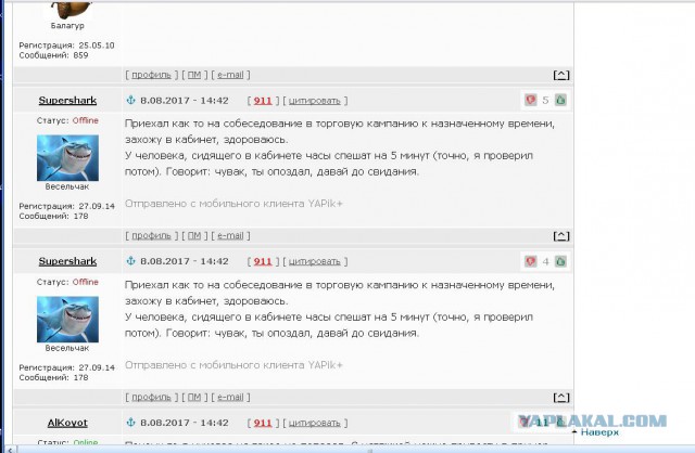 Истории от соискателей работы