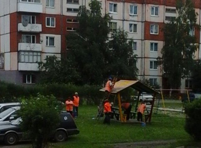 Весёлые картинки