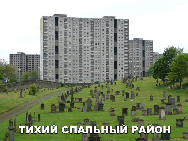 130 картинок для поднятия настроения!