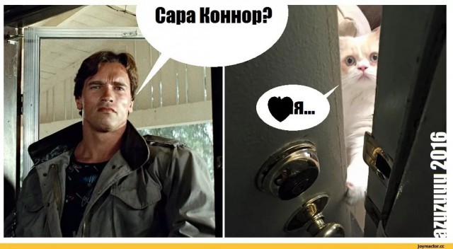 Исполнительница роли Сары Коннор в «Терминаторе 2» вернётся во франшизу