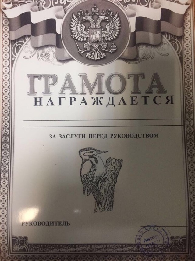 Просто картинки