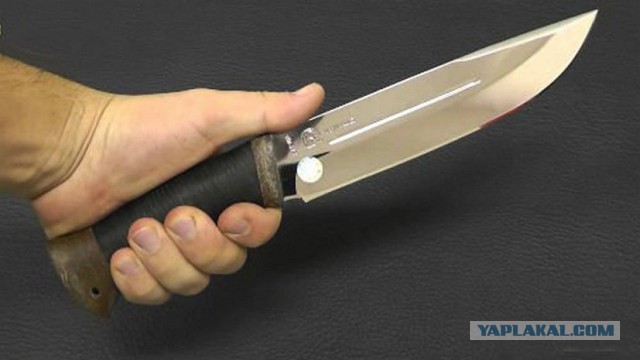 У каких собак самые болючие укусы