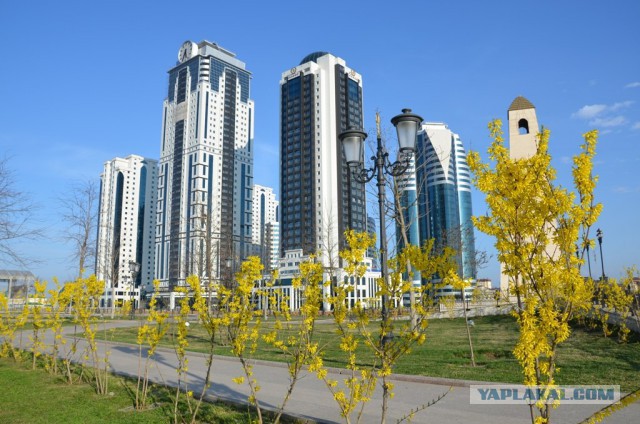 Кулинары поздравляют ЯП с днём рождения!