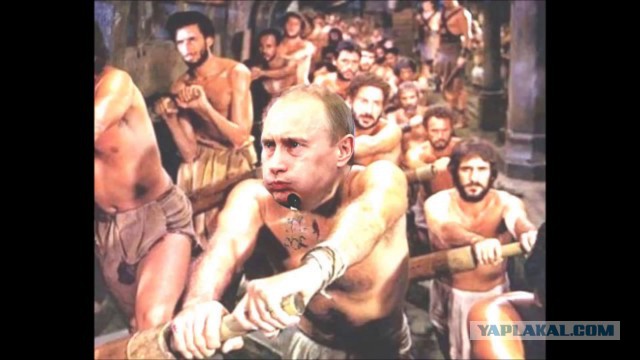 Задаем вопросы на прямую линию с ВВП